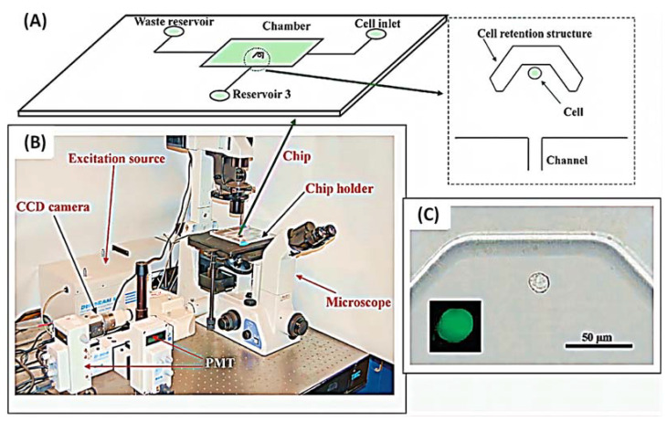 Figure 13