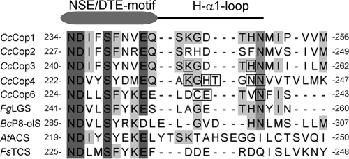 FIG. 5.