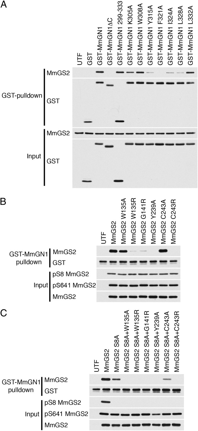 Fig. 5.