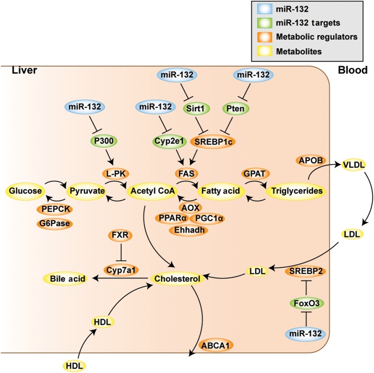 Figure 7