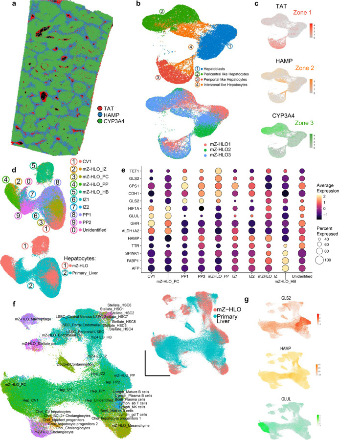 Extended Data Fig. 6.