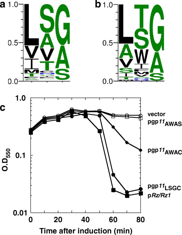 Fig. 10