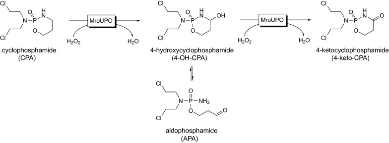 Scheme 1