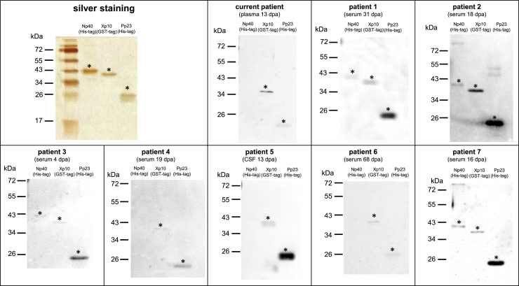 Figure 2