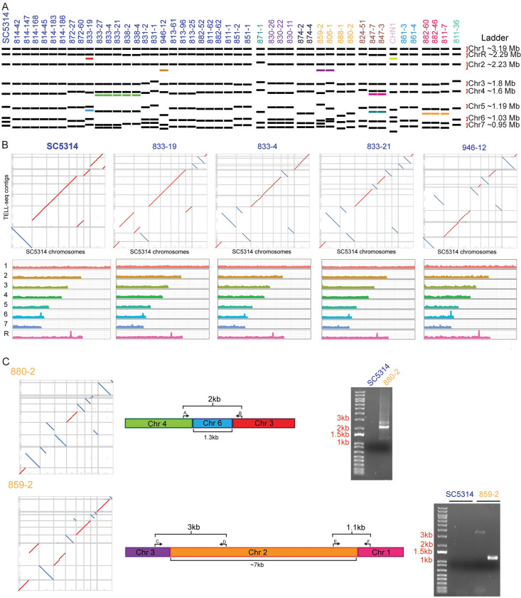 Fig 3