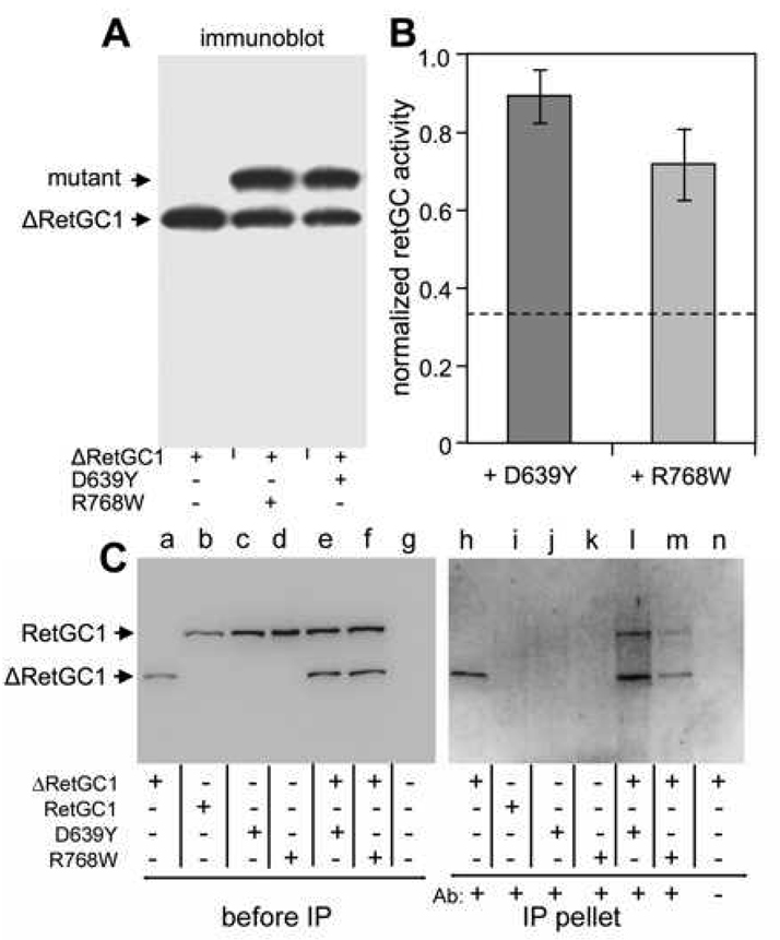 FIG. 7