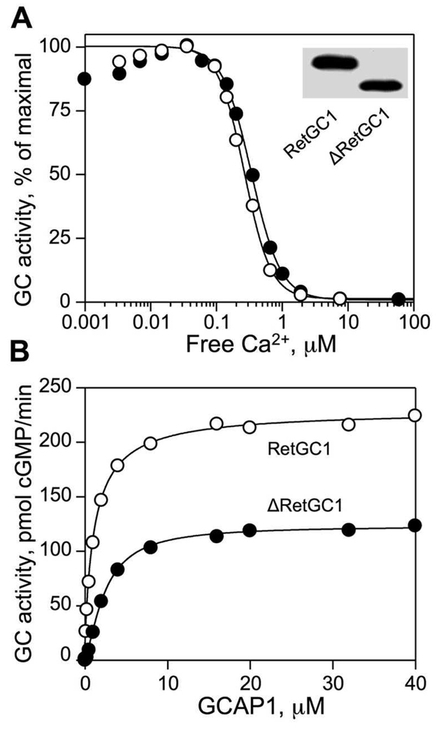 FIG. 6