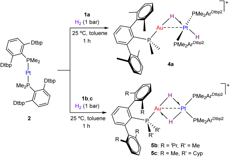 Scheme 2