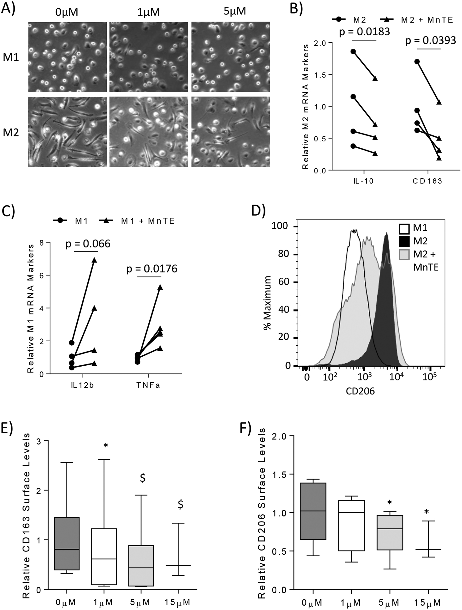 Figure 1)