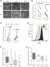 Figure 1)