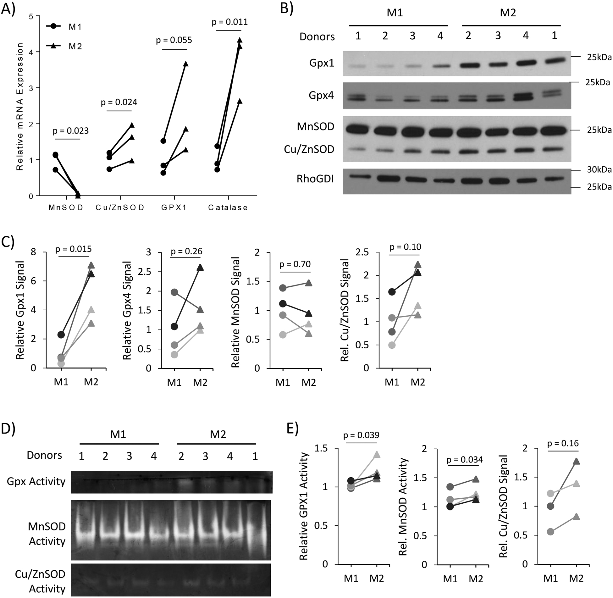 Figure 6).