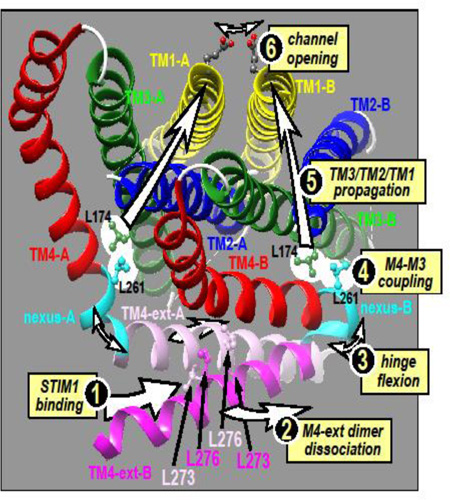 graphic file with name nihms842757f4.jpg