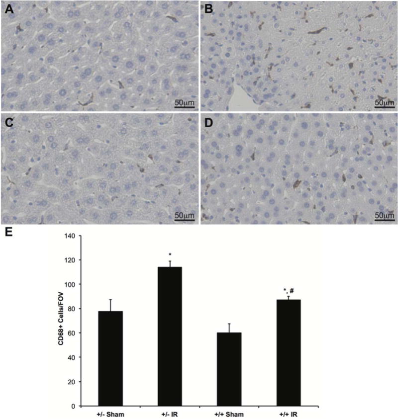 FIG. 6