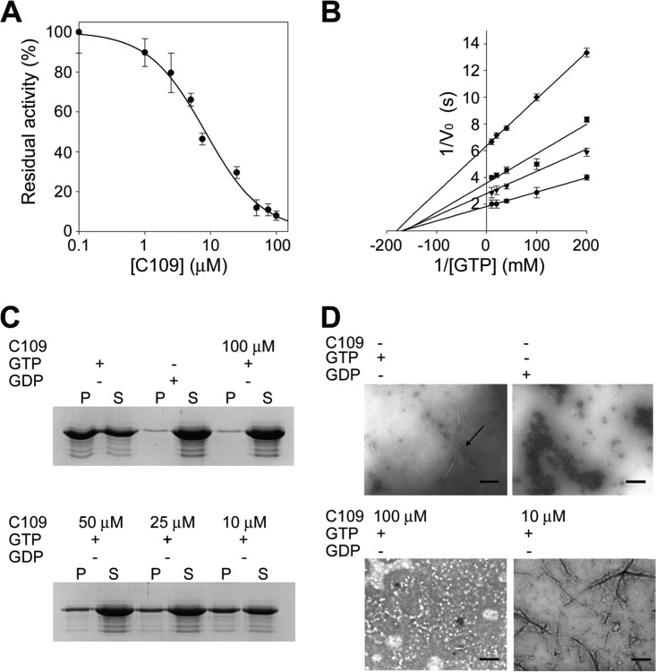 FIG 6