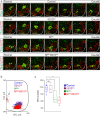 Figure 2—figure supplement 1.