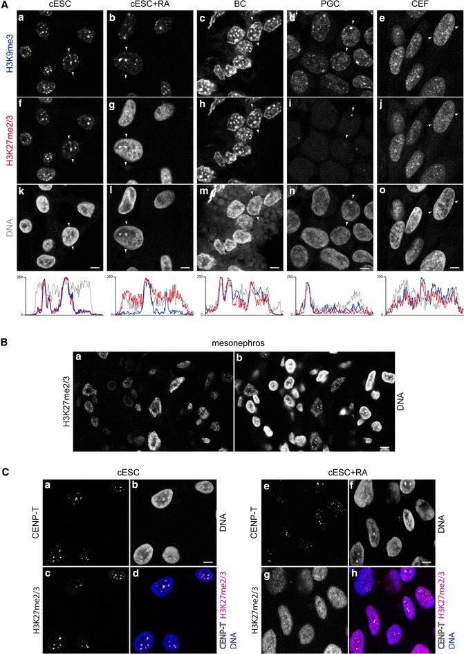 Fig. 2