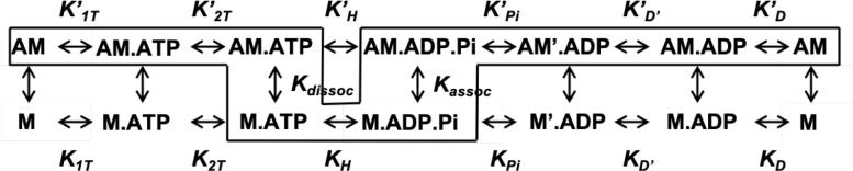 (Scheme 1)