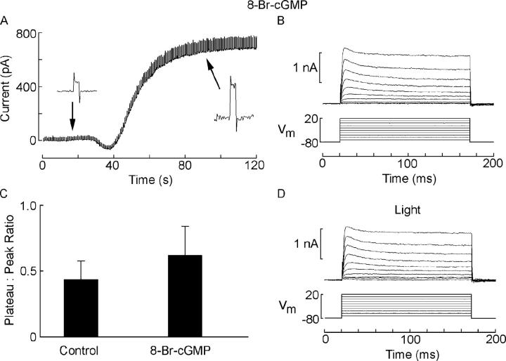 Figure 3. 