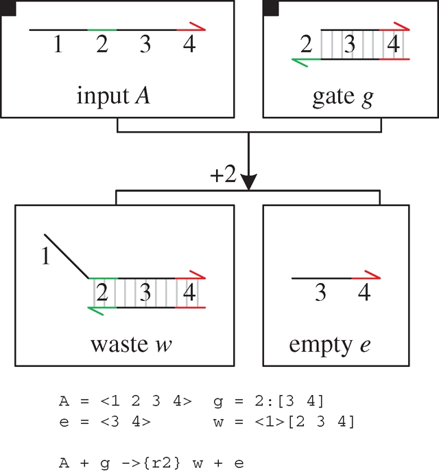 Figure 12.