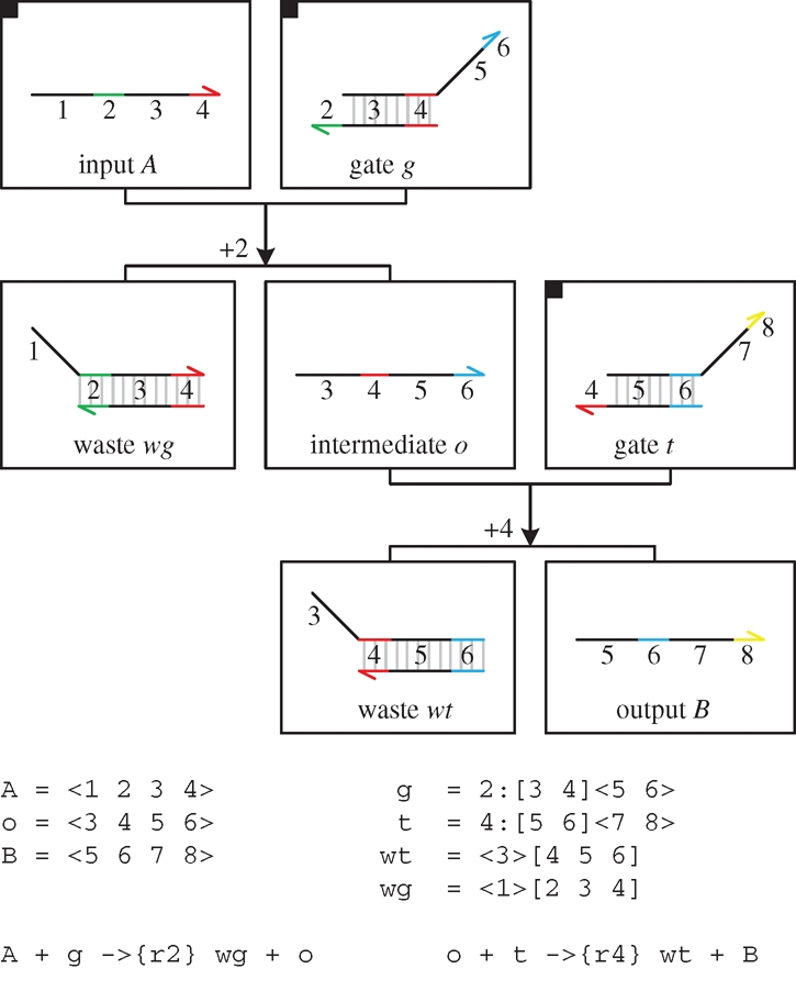 Figure 13.