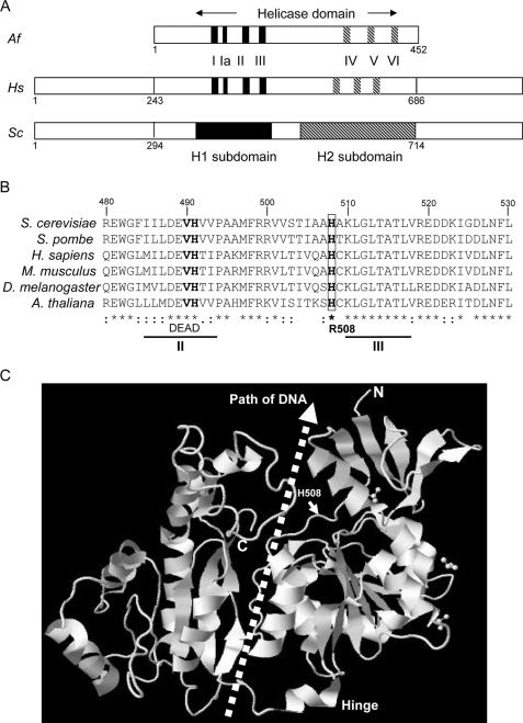 FIGURE 2.