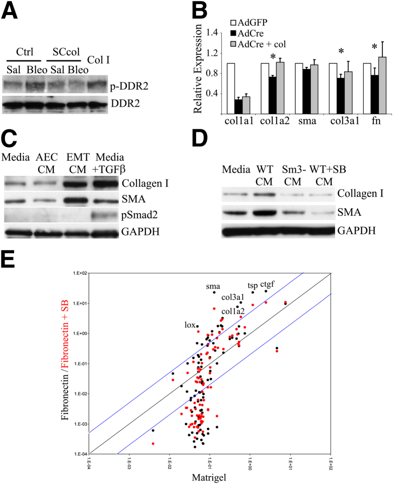 Figure 5