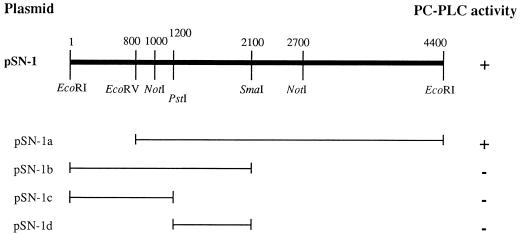 FIG. 1