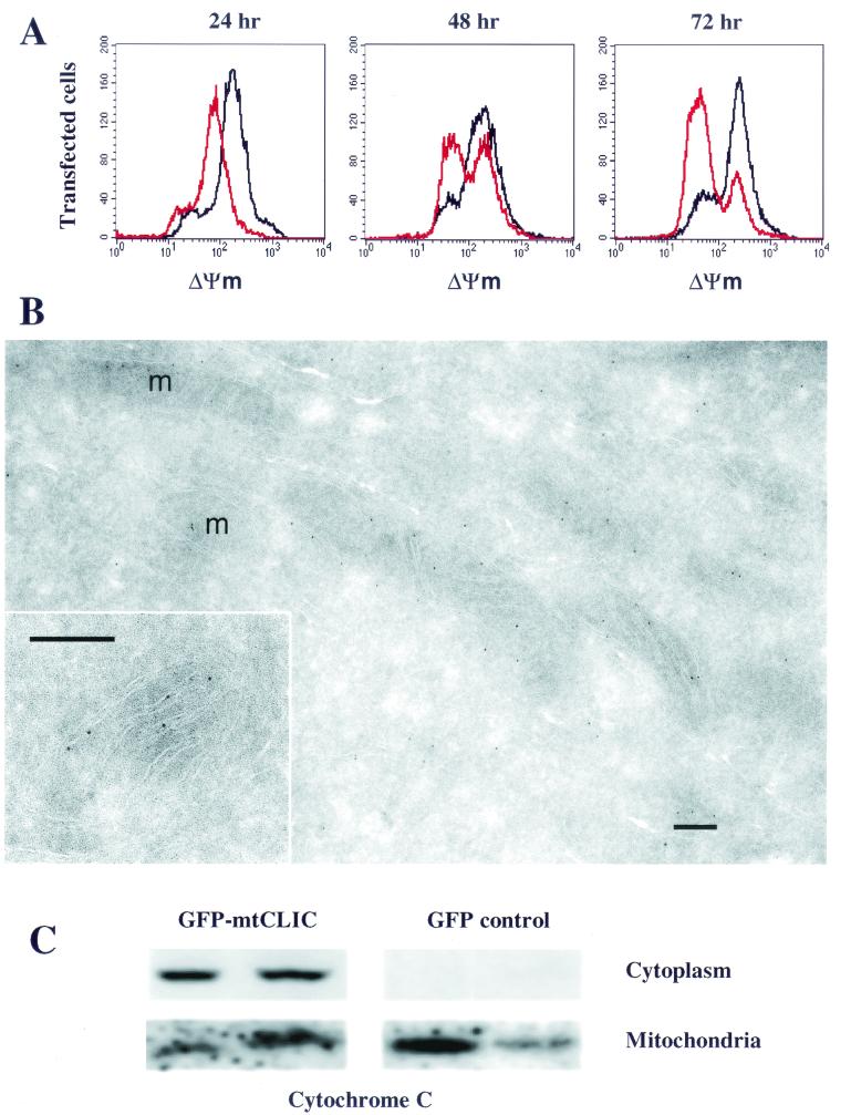 FIG. 4.