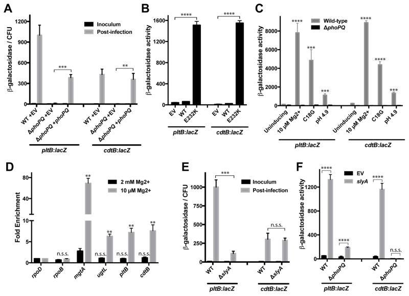 Decoding a Salmonella Typhi regulatory network that controls typhoid ...