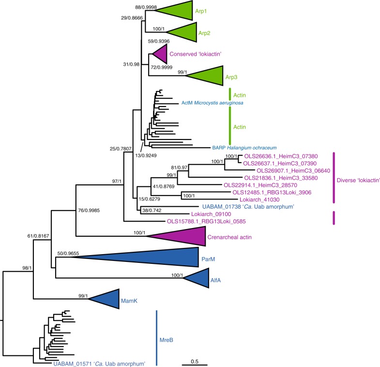 Fig. 6