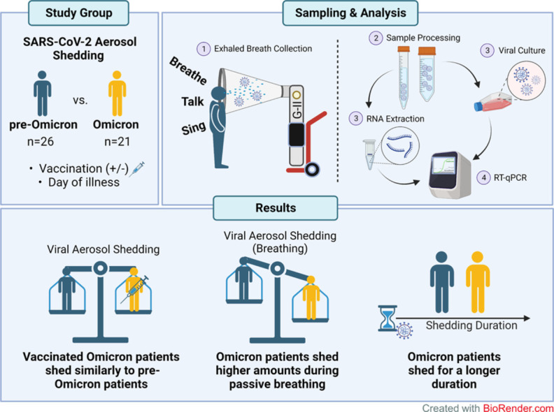 Image, graphical abstract