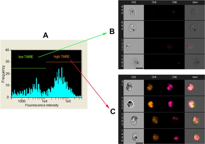 Figure 3.