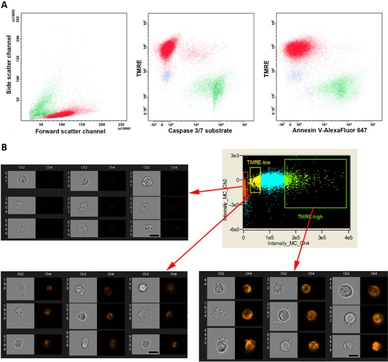 Figure 2.