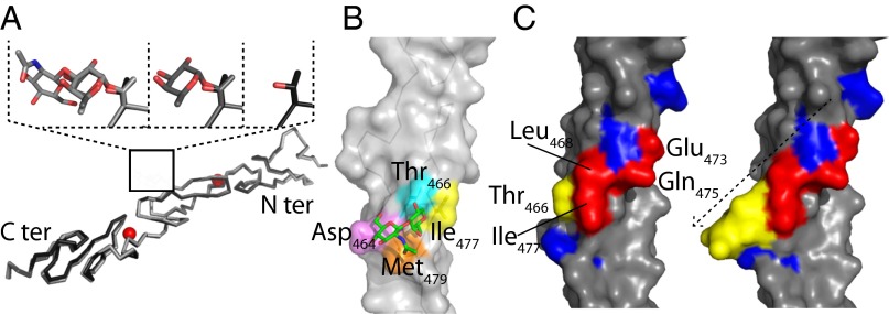 Fig. 4.