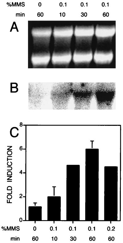 FIG. 6