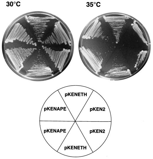 FIG. 5