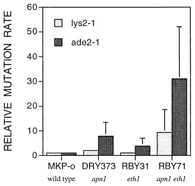 FIG. 4