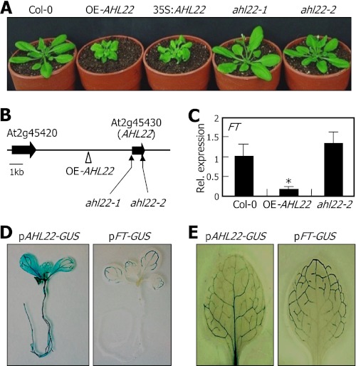 FIGURE 1.