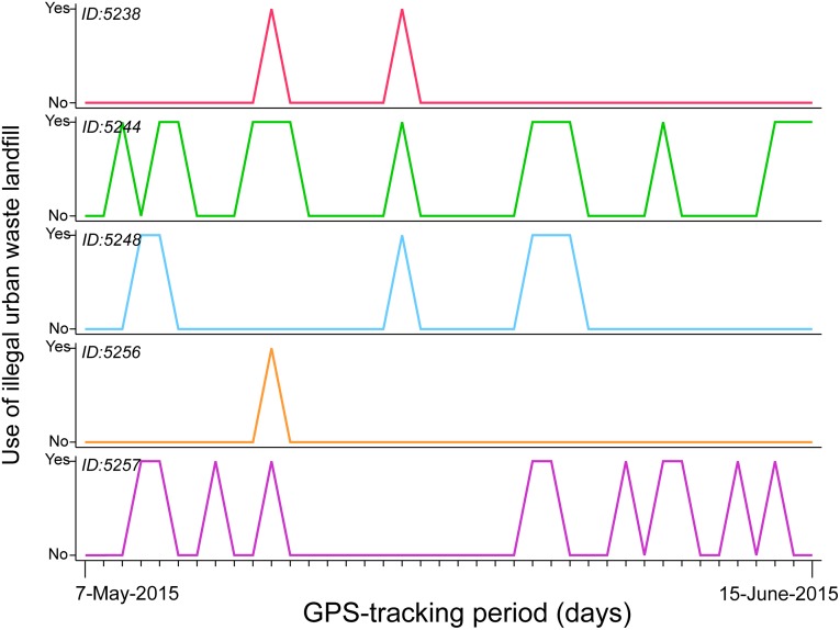 Fig 2