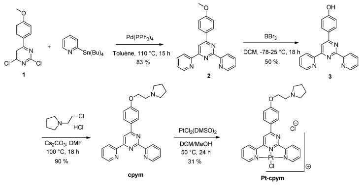 Scheme 2