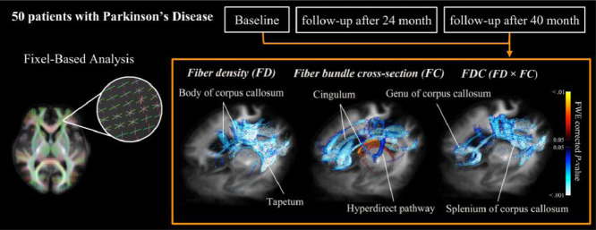 Image, graphical abstract