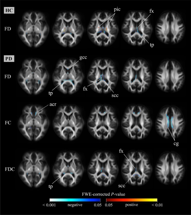 Fig 8