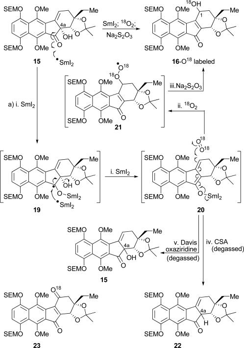 Scheme 4