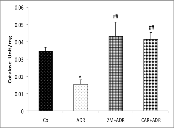 Fig. 3