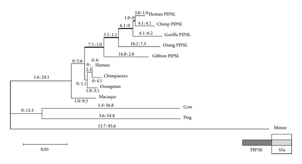 Figure 5