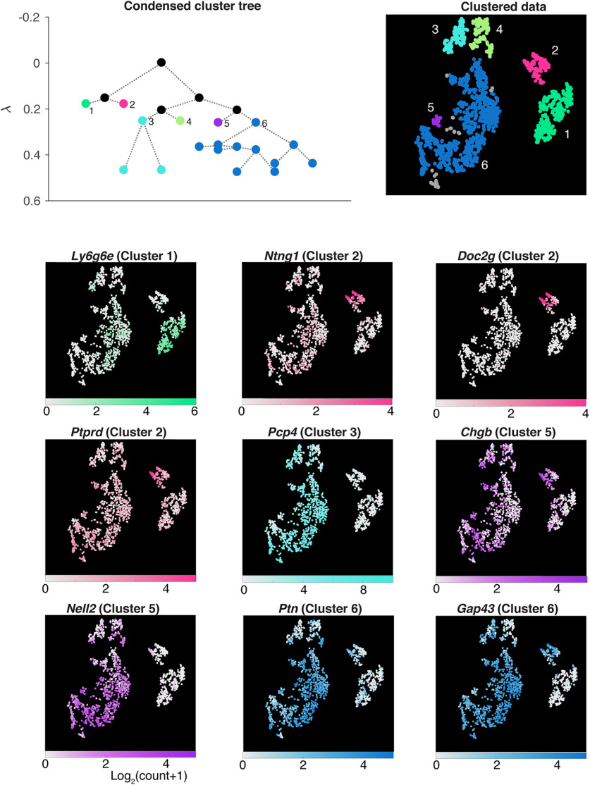 Figure 4.