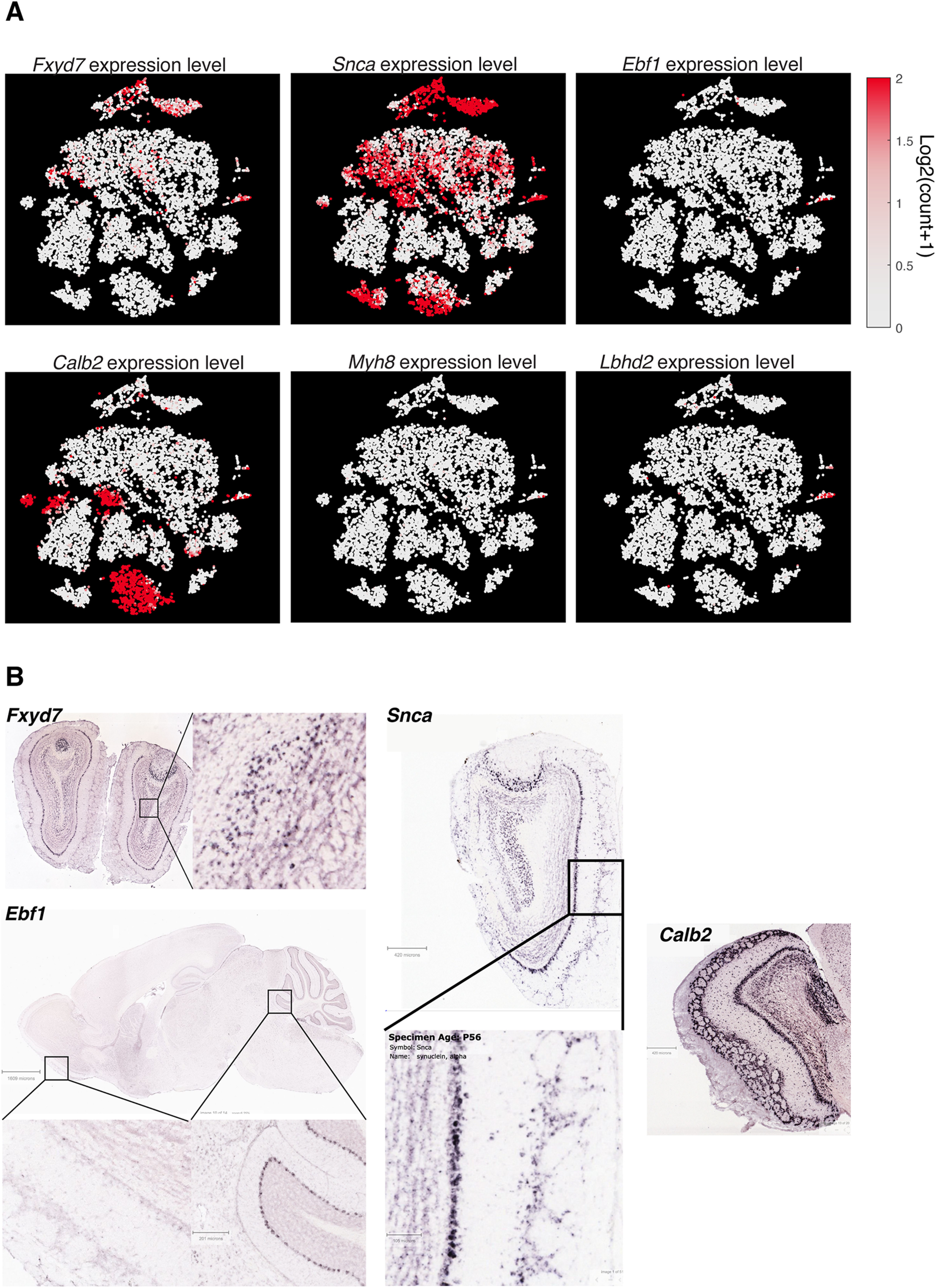 Figure 3.