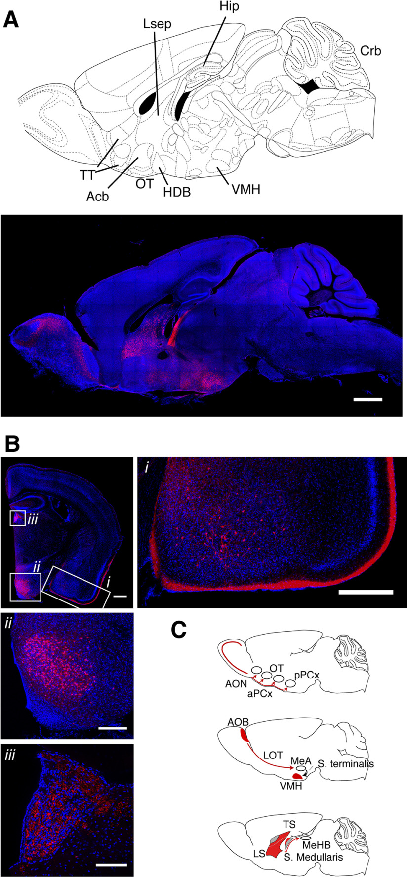 Figure 12.