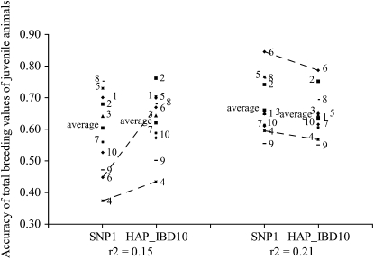 Figure 5.—