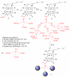 Scheme-2